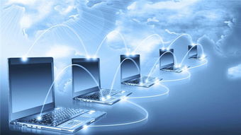 權威媒體遼寧之窗引領互聯網銷售新風尚